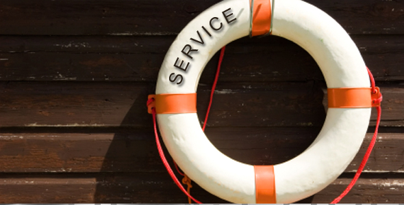 Versicherungen Service Rettungsring